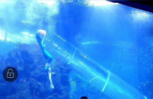 臨汾水族館