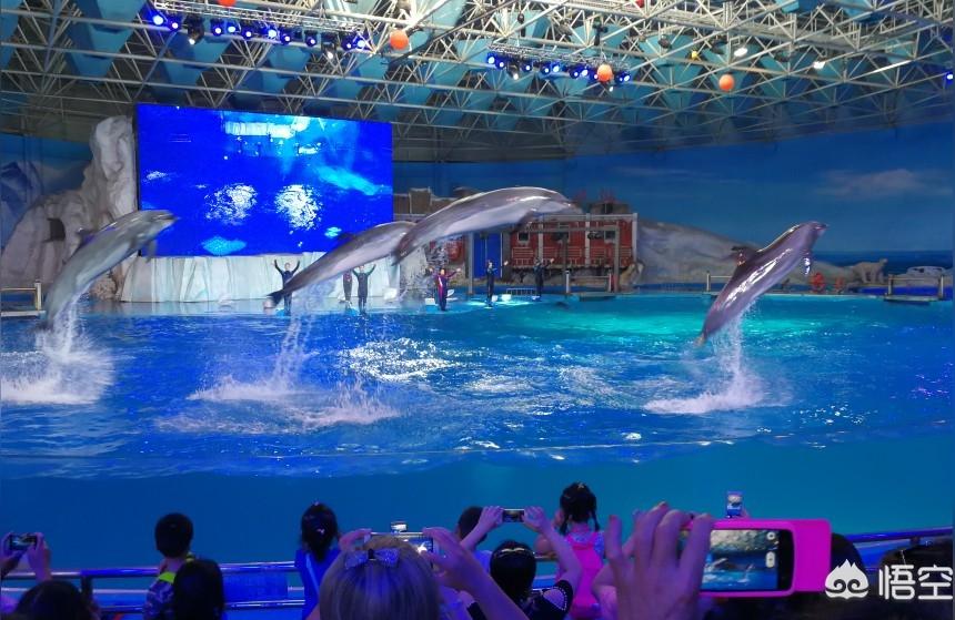 青島水族館