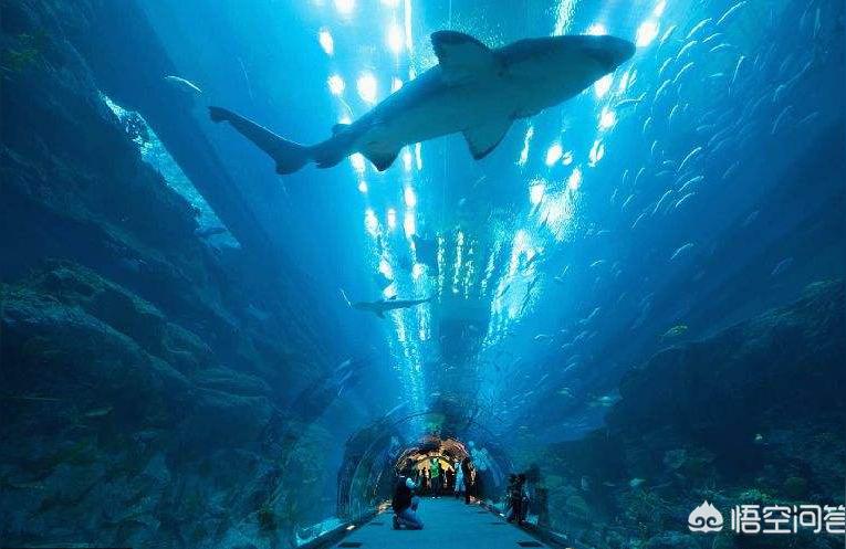 太原水族館