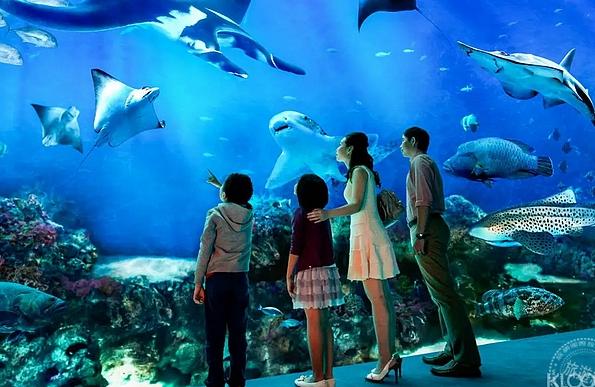 烏蘭察布水族館