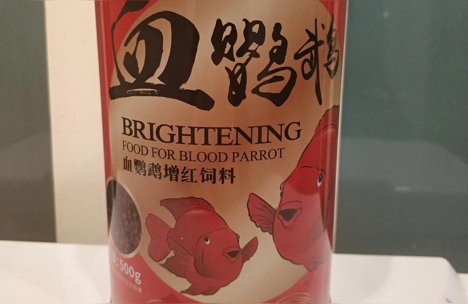 財神鸚鵡魚