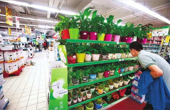 昌都花鳥魚蟲市場:開花鳥魚蟲店市場怎么樣