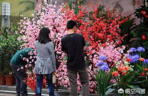 陽泉花鳥魚蟲市場:陽泉花鳥魚市場都有哪些地方