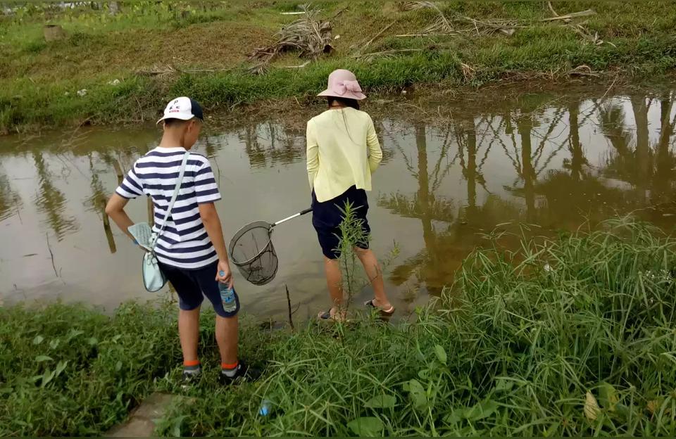 ?？隰~缸(魚缸尺寸與養(yǎng)魚數(shù)量對照表) 魚缸百科