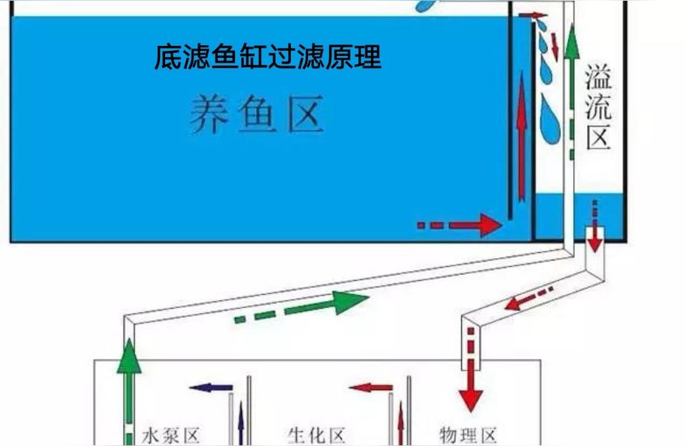 巴彥淖爾魚(yú)池過(guò)濾濾材:魚(yú)缸有沒(méi)有必要添加一大堆各種品牌濾材