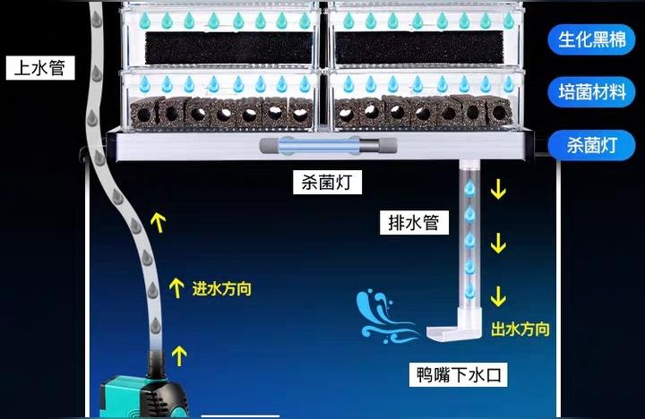 博特水泵:博特變頻水泵出水口怎么接硬管 博特水族