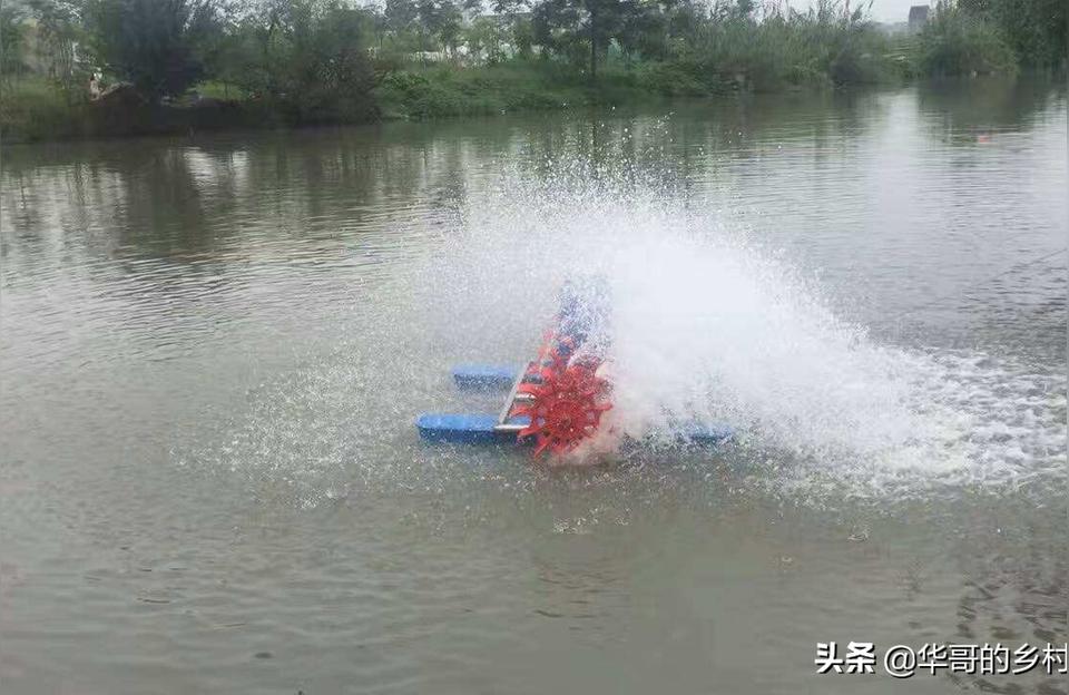 湖州魚池水泵設(shè)備:魚池一噸水需要多大水泵過濾 廣州水族器材濾材批發(fā)市場(chǎng)