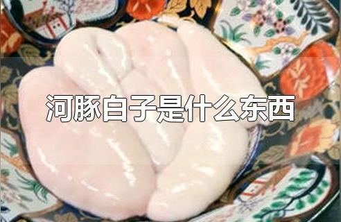 魚的白子是什么