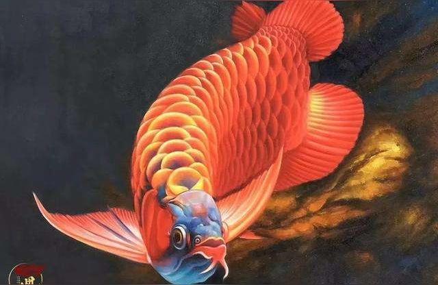 普寧正大龍魚(yú):請(qǐng)問(wèn)廣州各類龍魚(yú)批發(fā)價(jià)格是多少