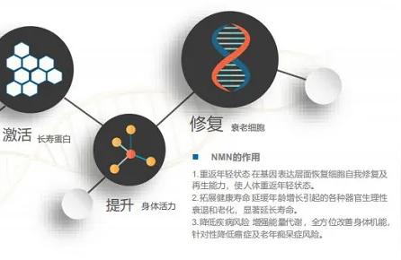 藍帆三間:深度分析藍帆醫(yī)療為什么不漲