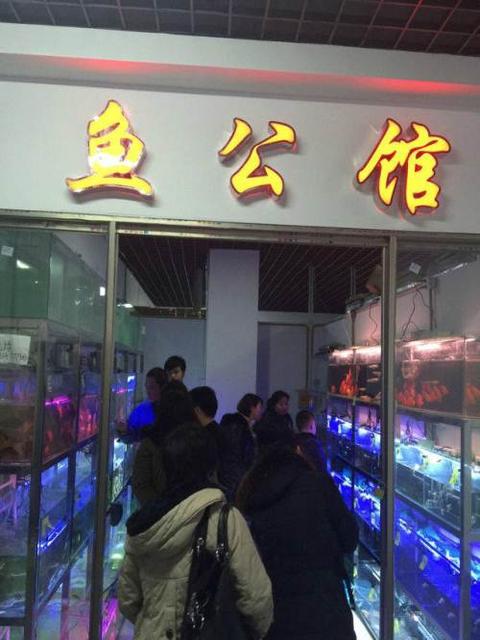 商丘觀賞魚批發(fā)市場