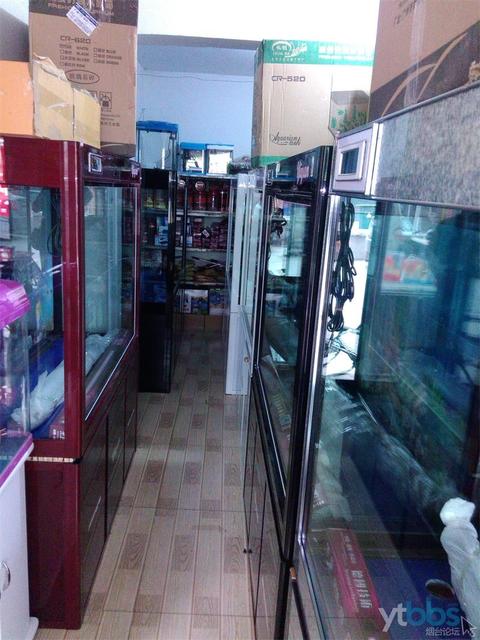 煙臺哪有水族用品店:煙臺三站那里有賣成品魚缸的 水族用品