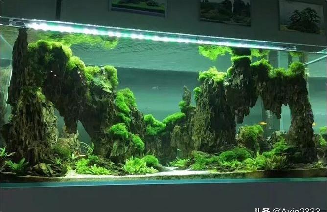 辦公桌面小魚(yú)缸造景流沙高缸中式DIY水草缸家用中式小型生態(tài)魚(yú)缸