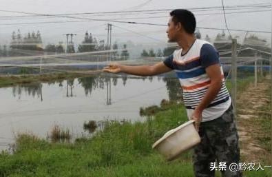 非自動喂食器魚蝦糧喂食圈觀賞蝦糧龍蝦黑殼蝦水晶蝦飼料養(yǎng)殖專用