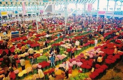 迪慶藏族自治州花鳥魚蟲市場:花鳥魚蟲店開在什么位置好