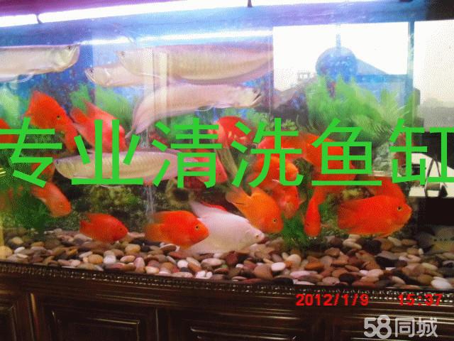 梅州魚缸售后維護(hù):魚缸漏水可以直接補(bǔ)膠嗎