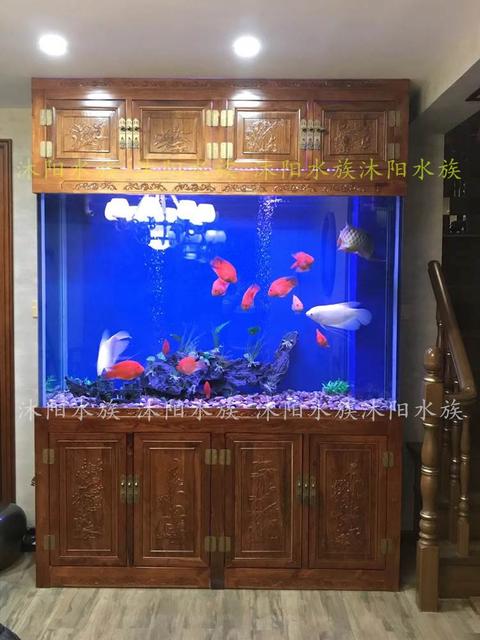 阿拉善盟魚缸定做:魚缸定做好還是買成品缸好