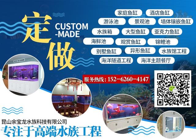 寧德魚缸售后維護(hù)電話:森森水族箱保修期是多長時間