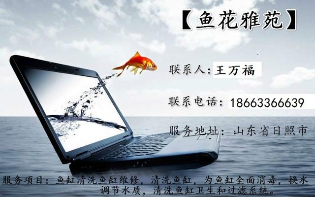 日照魚缸售后維護(hù)電話:魚缸漏水售后怎么解決