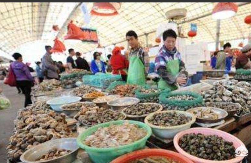 保定龍魚批發(fā)市場:離保定最近的批發(fā)冷凍魚和活鯽魚市場在哪 龍魚批發(fā)