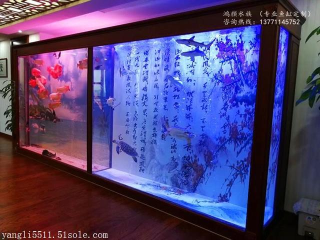 紹興魚缸定做:魚缸定做好還是買成品缸好