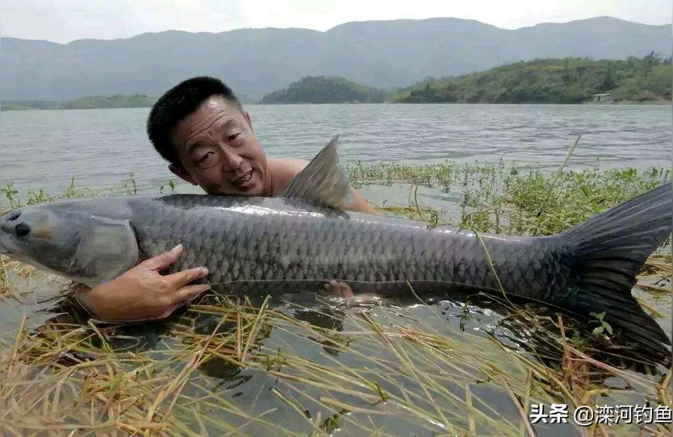 品牌魚竿排名:十大最貴魚竿排名