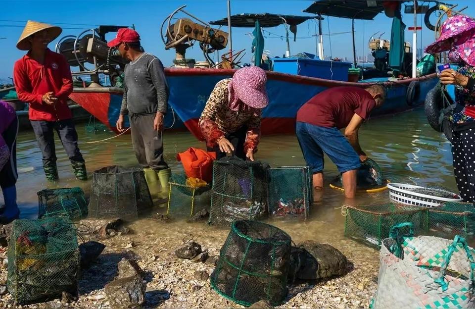 廈門花鳥魚蟲市場:廈門海滄哪里有寵物市場