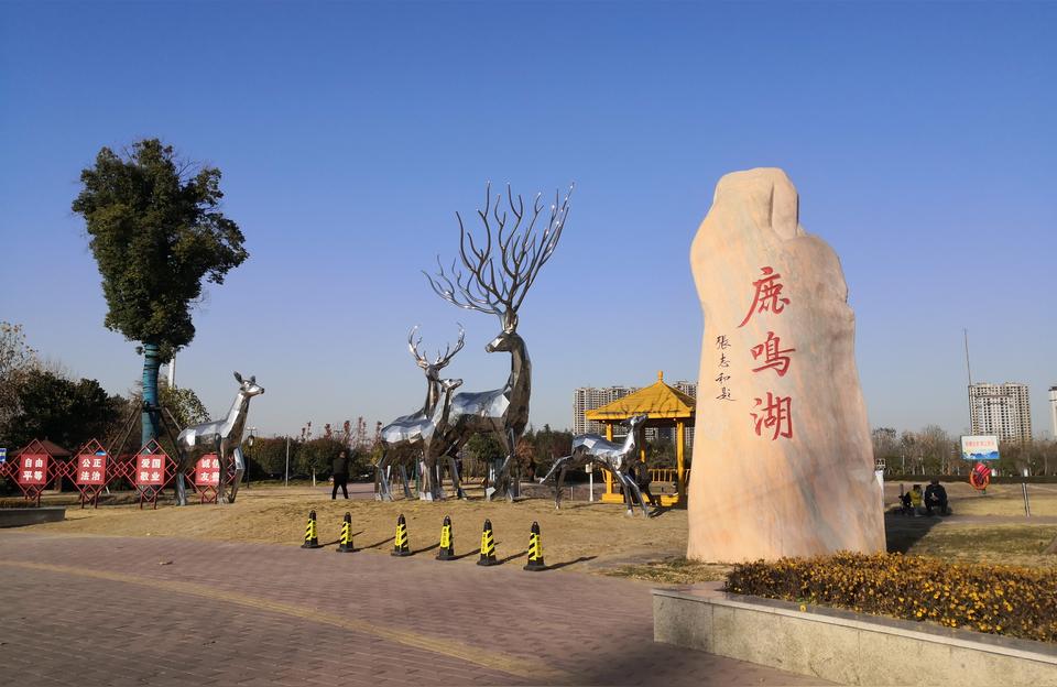 許昌花鳥魚蟲市場:許昌哪里有賣盆栽的 觀賞魚水族批發(fā)市場