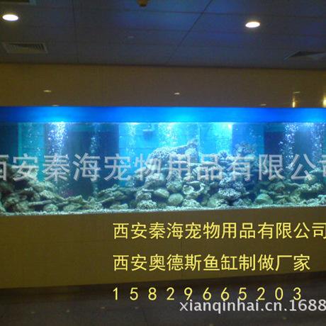 江門魚缸:十大水族箱品牌排行榜水族箱哪個牌子好