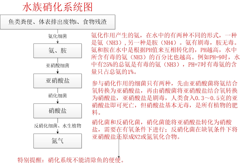 湘潭觀賞魚市場早上睡不著起來測個水質(zhì)從來沒這么好過