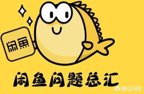 寧德二手魚(yú)缸:閑魚(yú)有哪些常見(jiàn)的騙局