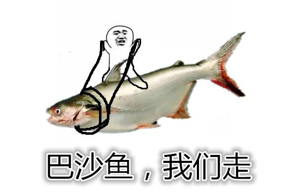 龍利魚批發(fā)價格:最大龍利魚