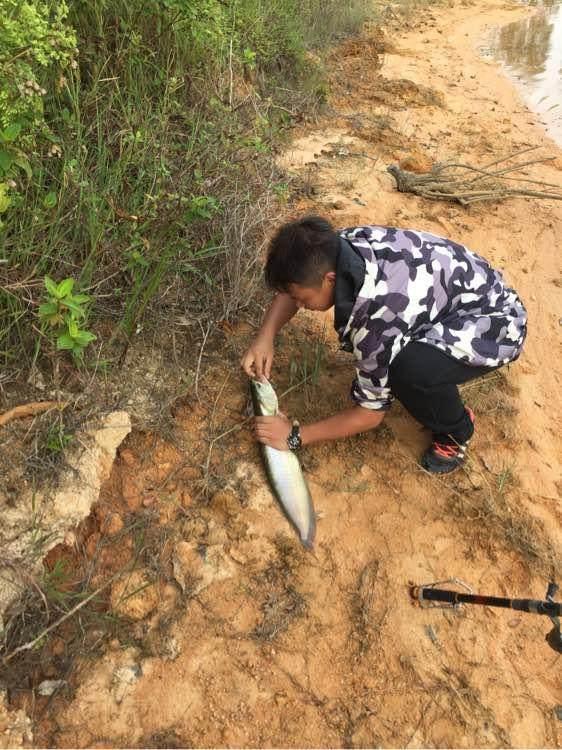 銀龍魚多少錢一條:想把銀龍魚養(yǎng)大需要用多大的魚缸