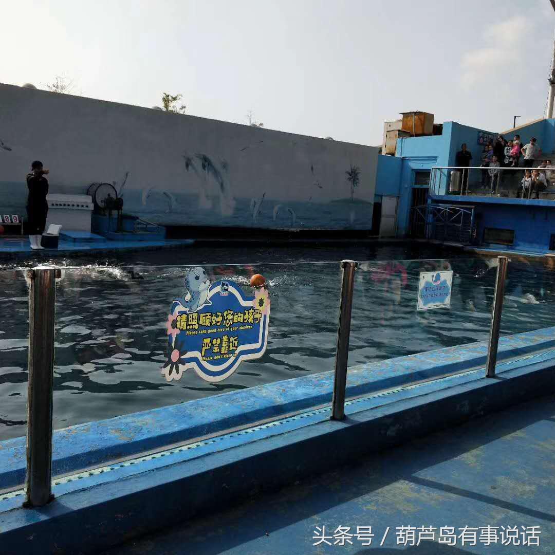 秦皇島哪里有水族館（店）:秦皇島貝殼王國(guó)好玩嗎