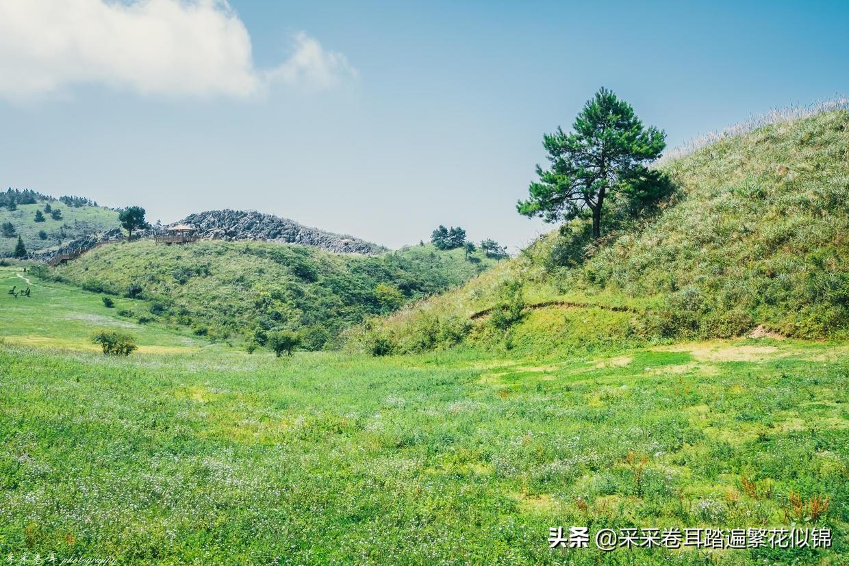 重慶魚池建設(shè):重慶村民修水池發(fā)生意外致7死