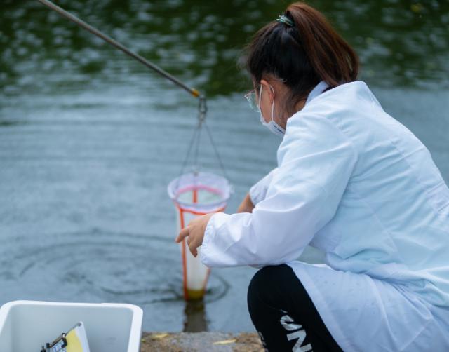 大連魚池水泵設(shè)備 廣州水族器材濾材批發(fā)市場