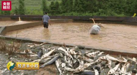 贛州魚池水泵設備