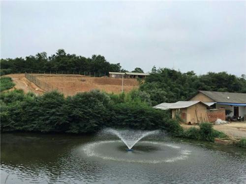 隨州魚池水泵設(shè)備 廣州水族器材濾材批發(fā)市場(chǎng)