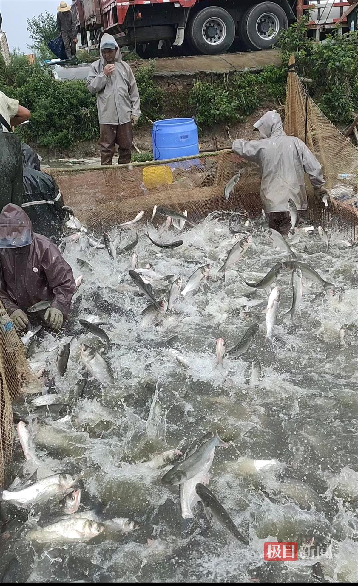 咸寧魚池水泵設(shè)備 廣州水族器材濾材批發(fā)市場