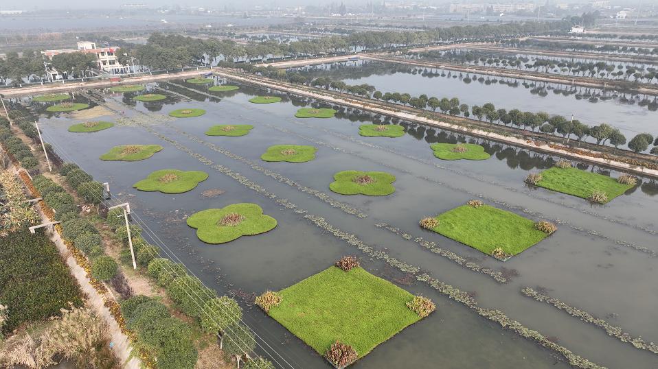 益陽魚池水泵設(shè)備 廣州水族器材濾材批發(fā)市場(chǎng)