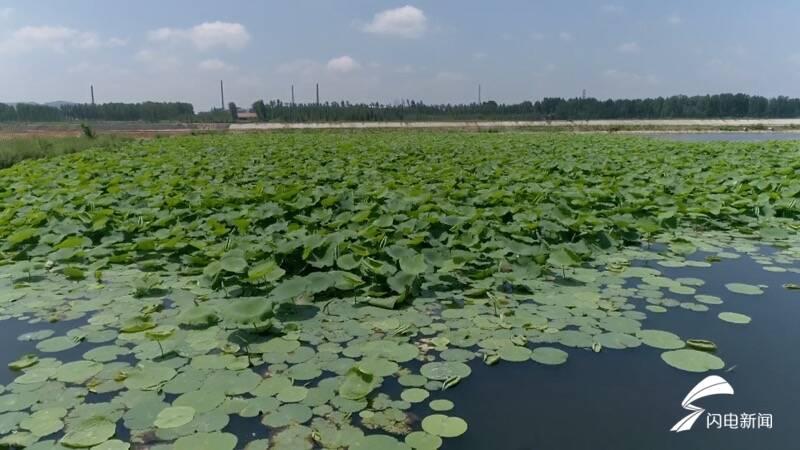 泰安魚(yú)池建設(shè)