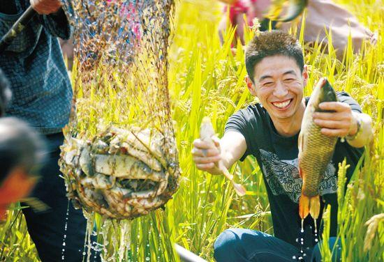 野生土龍魚圖片