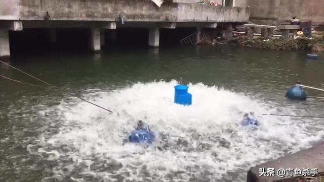 家庭觀賞魚池水深多少合適:水景池的水深一般為多少米