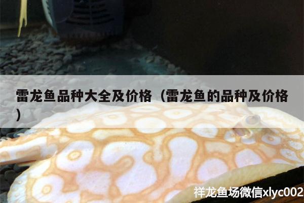 雷龍魚品種大全及價格（雷龍魚的品種及價格）