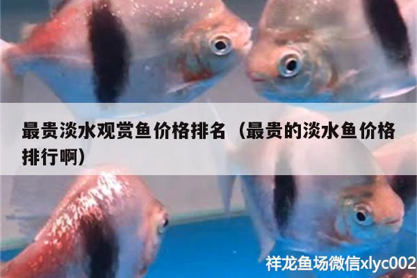 最貴淡水觀賞魚價格排名（最貴的淡水魚價格排行?。?></a><h4 class=