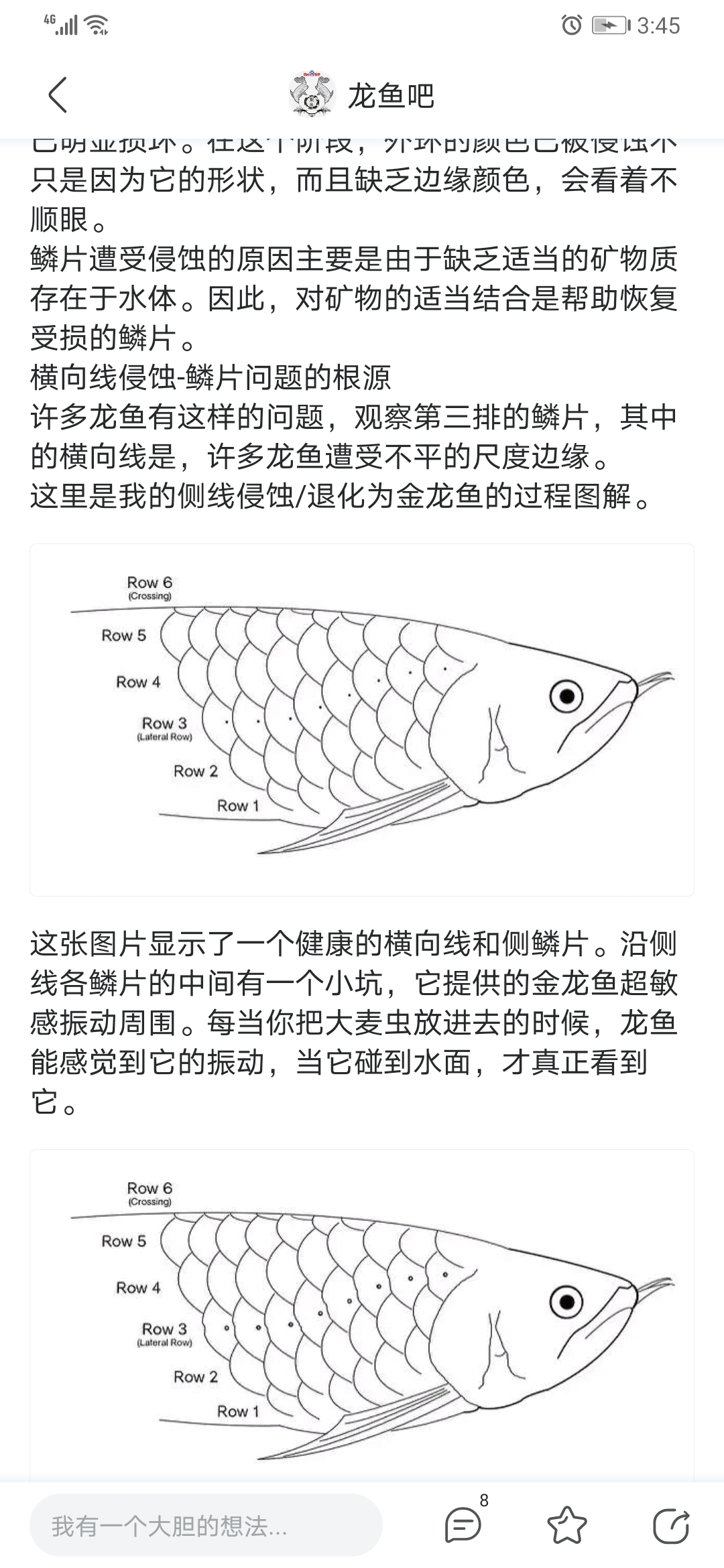 關于鱗片缺陷的問題請教 斑馬鴨嘴魚 第1張