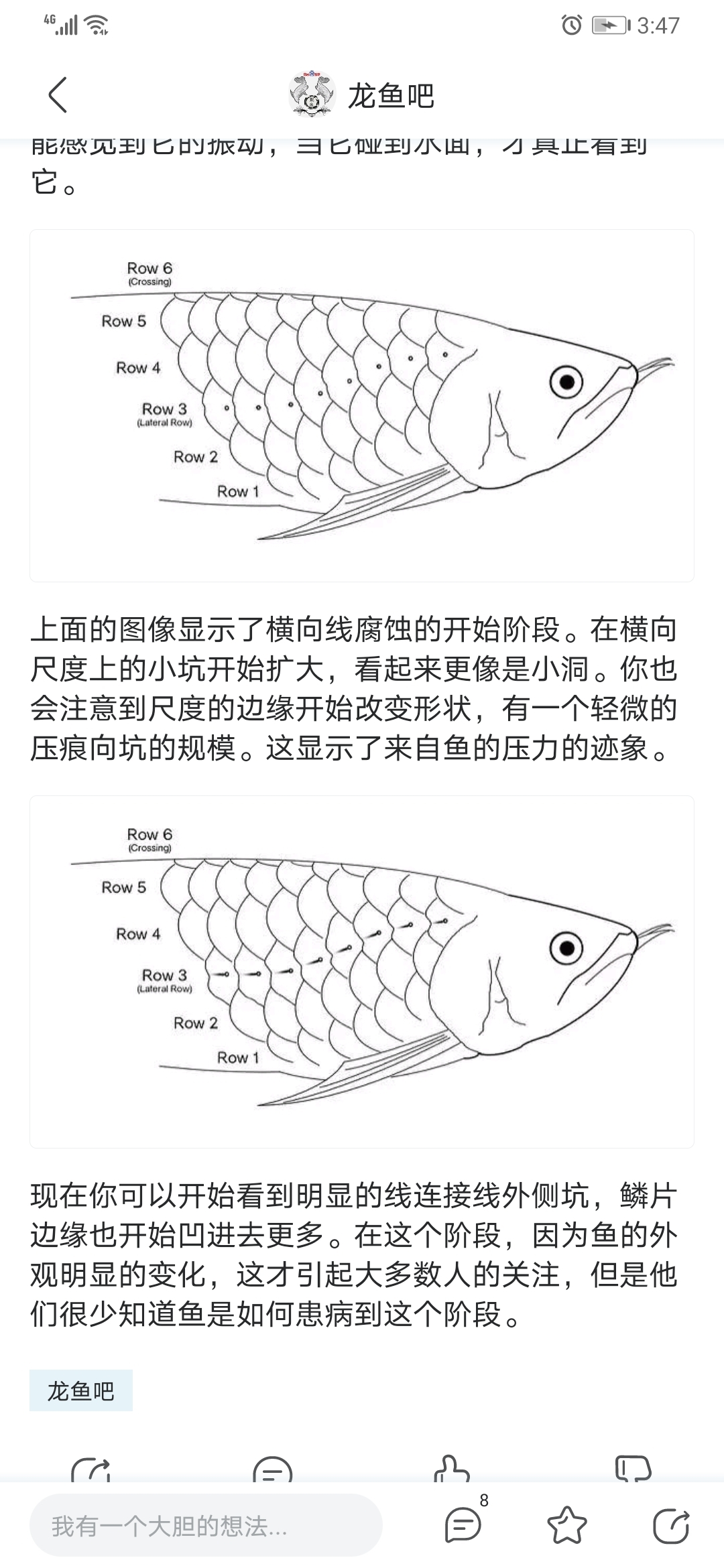 關于鱗片缺陷的問題請教 斑馬鴨嘴魚 第2張