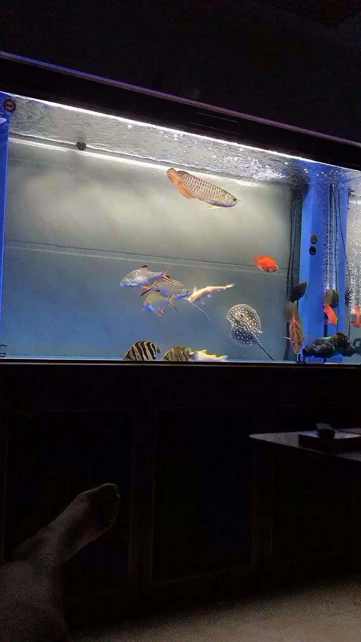 眉山水族館寧靜的夜晚