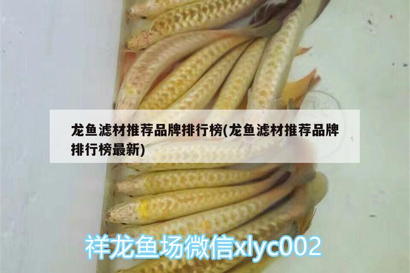 龍魚濾材推薦品牌排行榜(龍魚濾材推薦品牌排行榜最新)