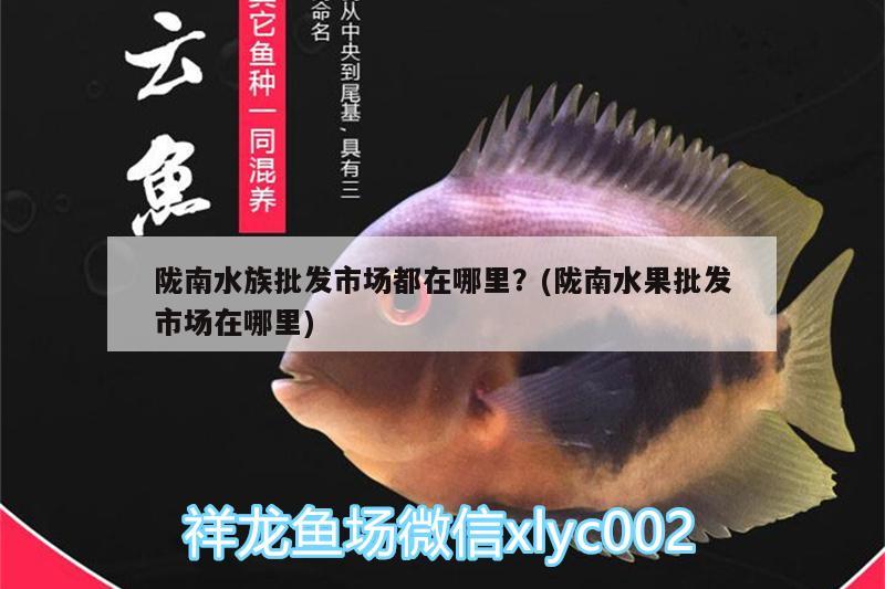 隴南水族批發(fā)市場都在哪里？(隴南水果批發(fā)市場在哪里) 觀賞魚水族批發(fā)市場